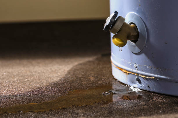 Best Local water damage restoration  in Whitaker, PA