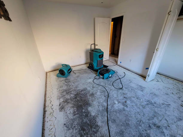 Best Residential water damage restoration  in Whitaker, PA