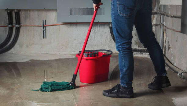Best Water damage restoration near me  in Whitaker, PA
