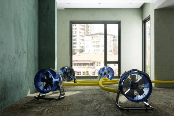 Best Basement water damage restoration  in Whitaker, PA